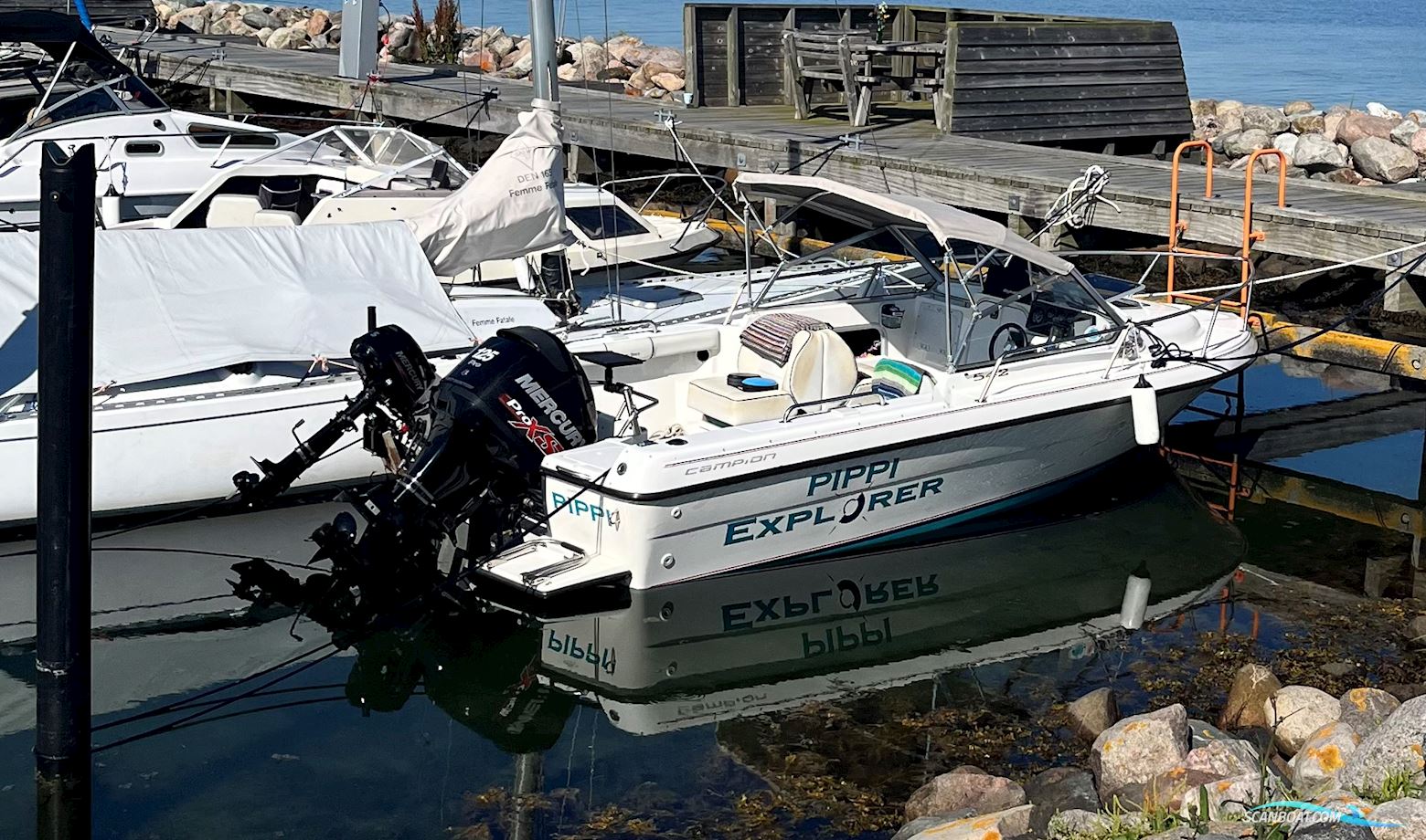 Campion Explorer 542