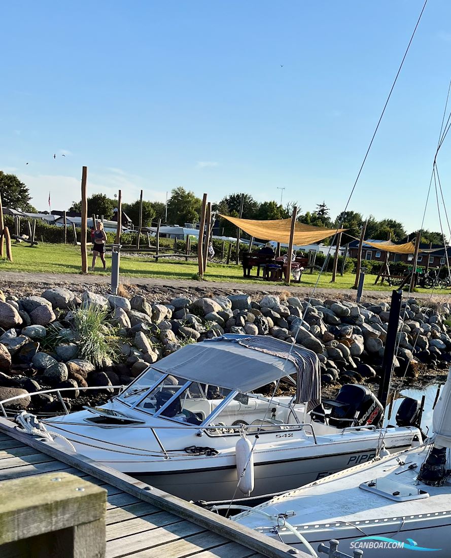 Campion Explorer 542