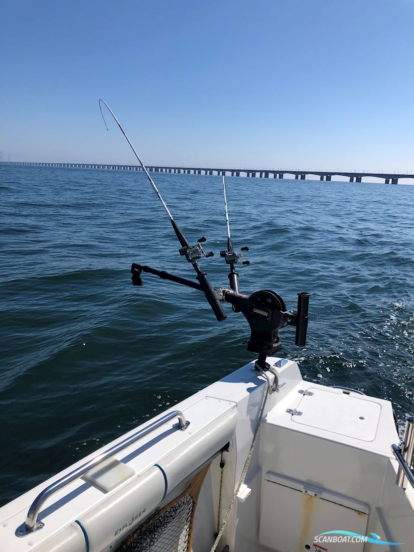 Campion Explorer 542