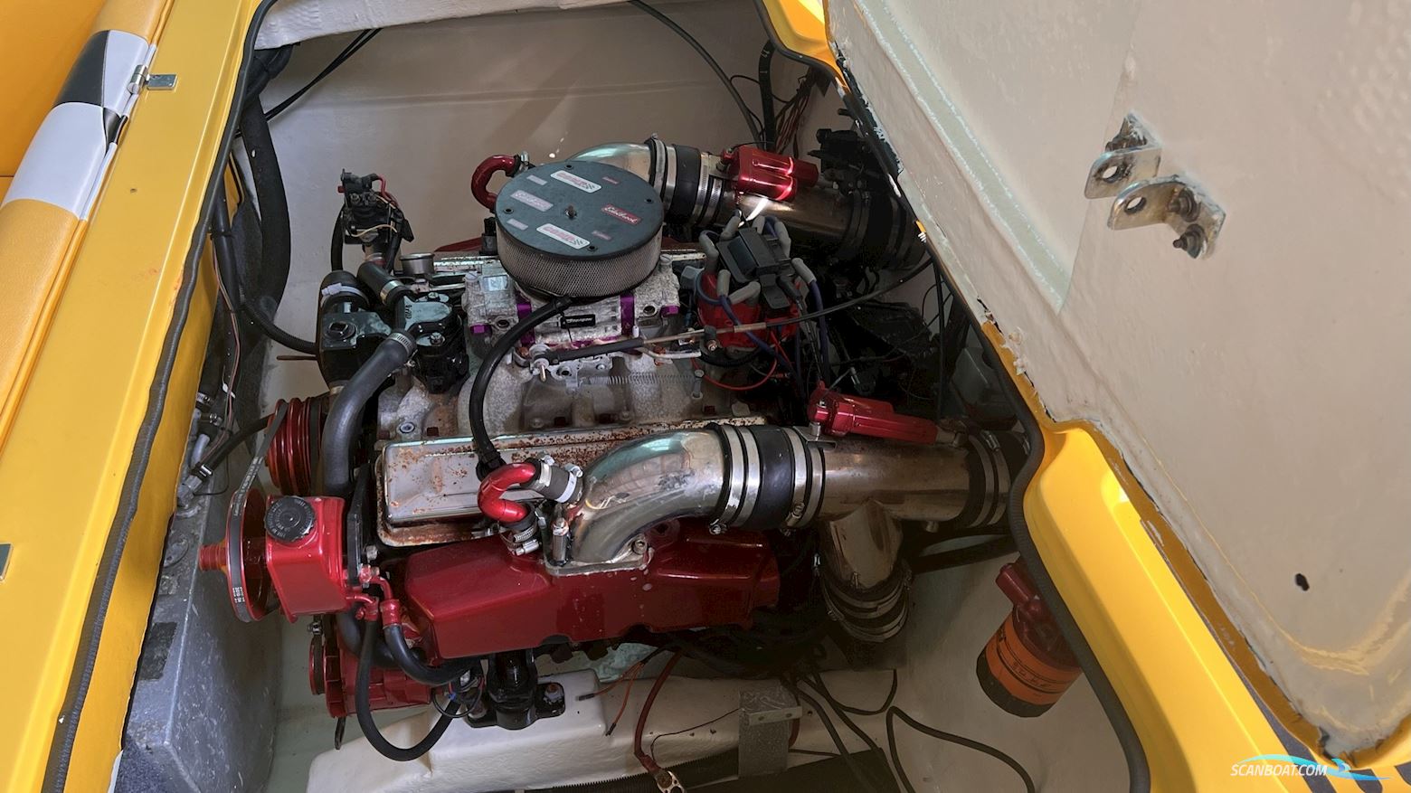 Checkmate Senator - V8 - 500 PS