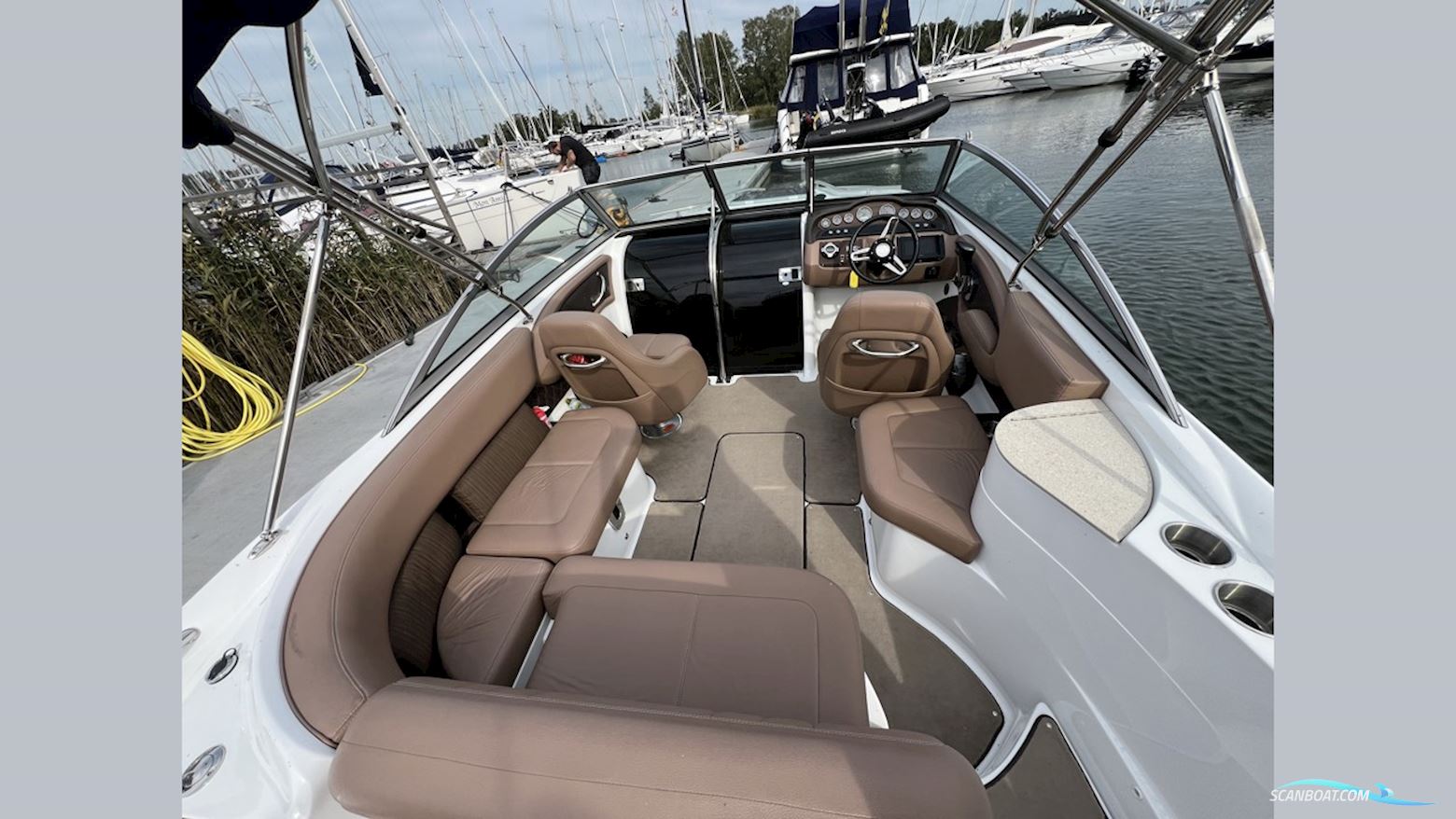 Cobalt 243