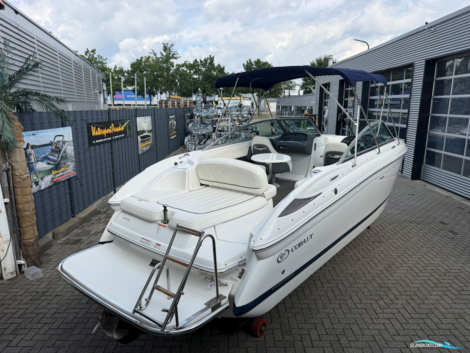 Cobalt 252