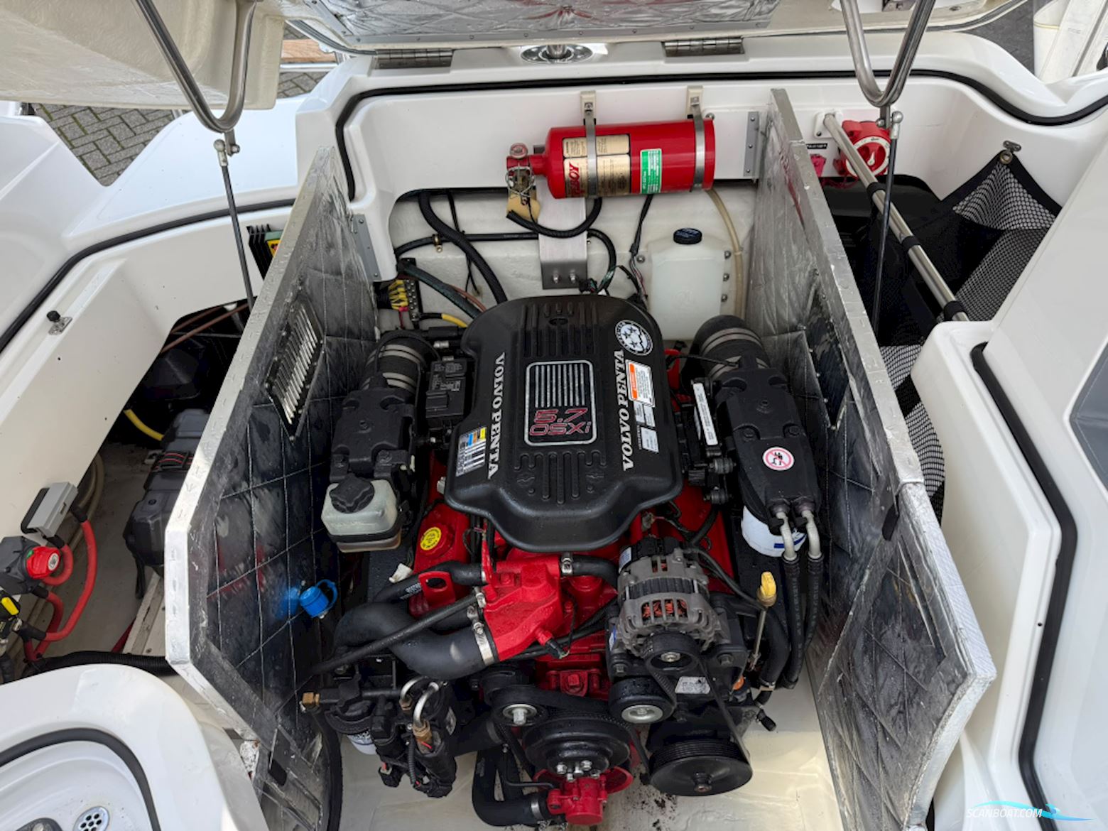 Cobalt 252