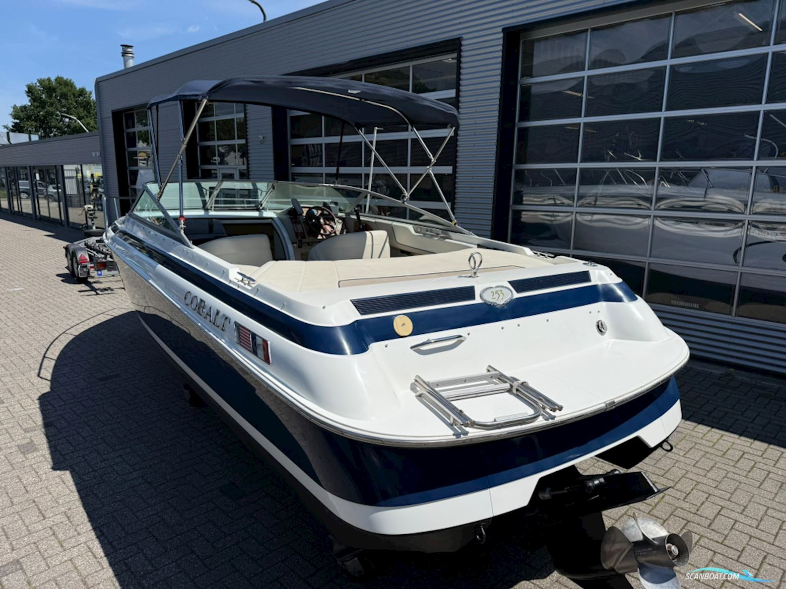 Cobalt 253