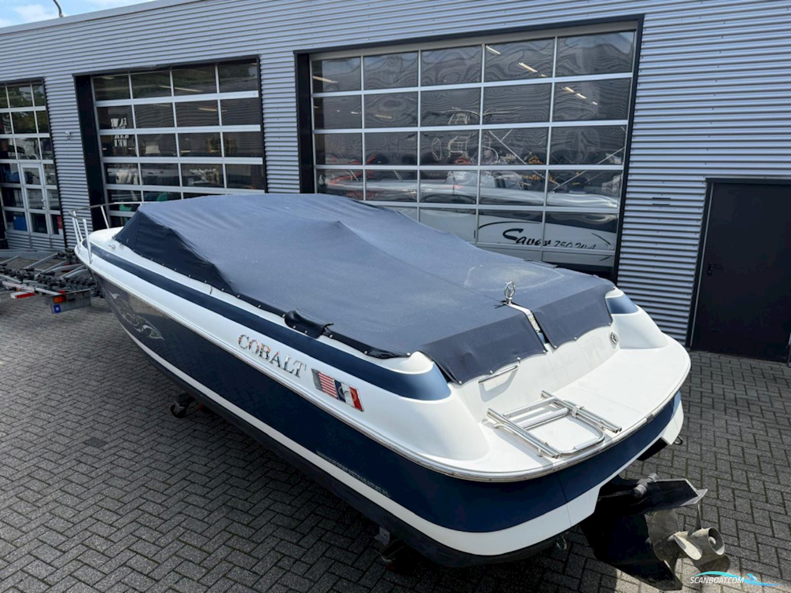 Cobalt 253
