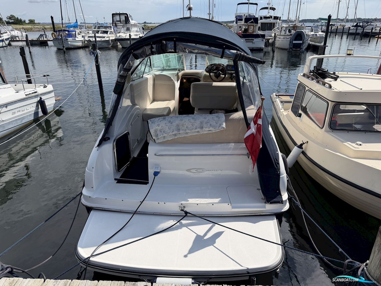 Cobrey 250 SC