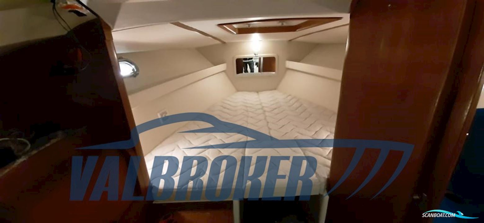 Colombo SUPER INDIOS 31