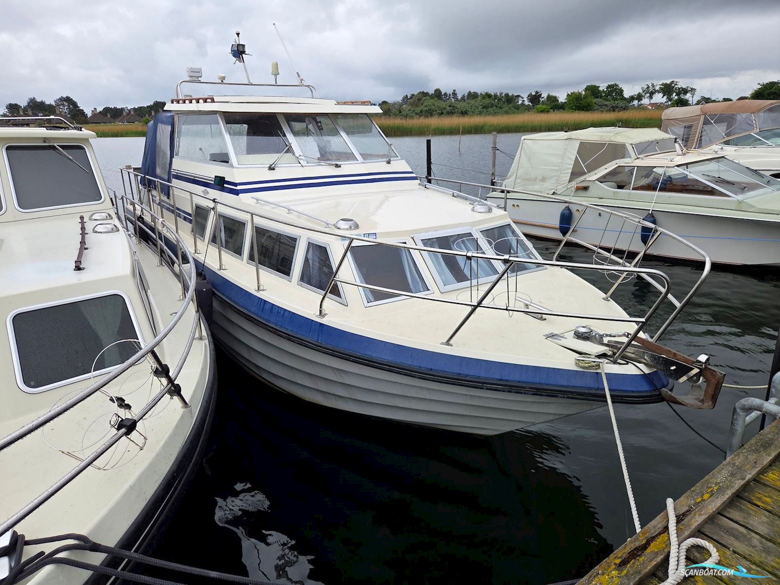 Comet Commander 31