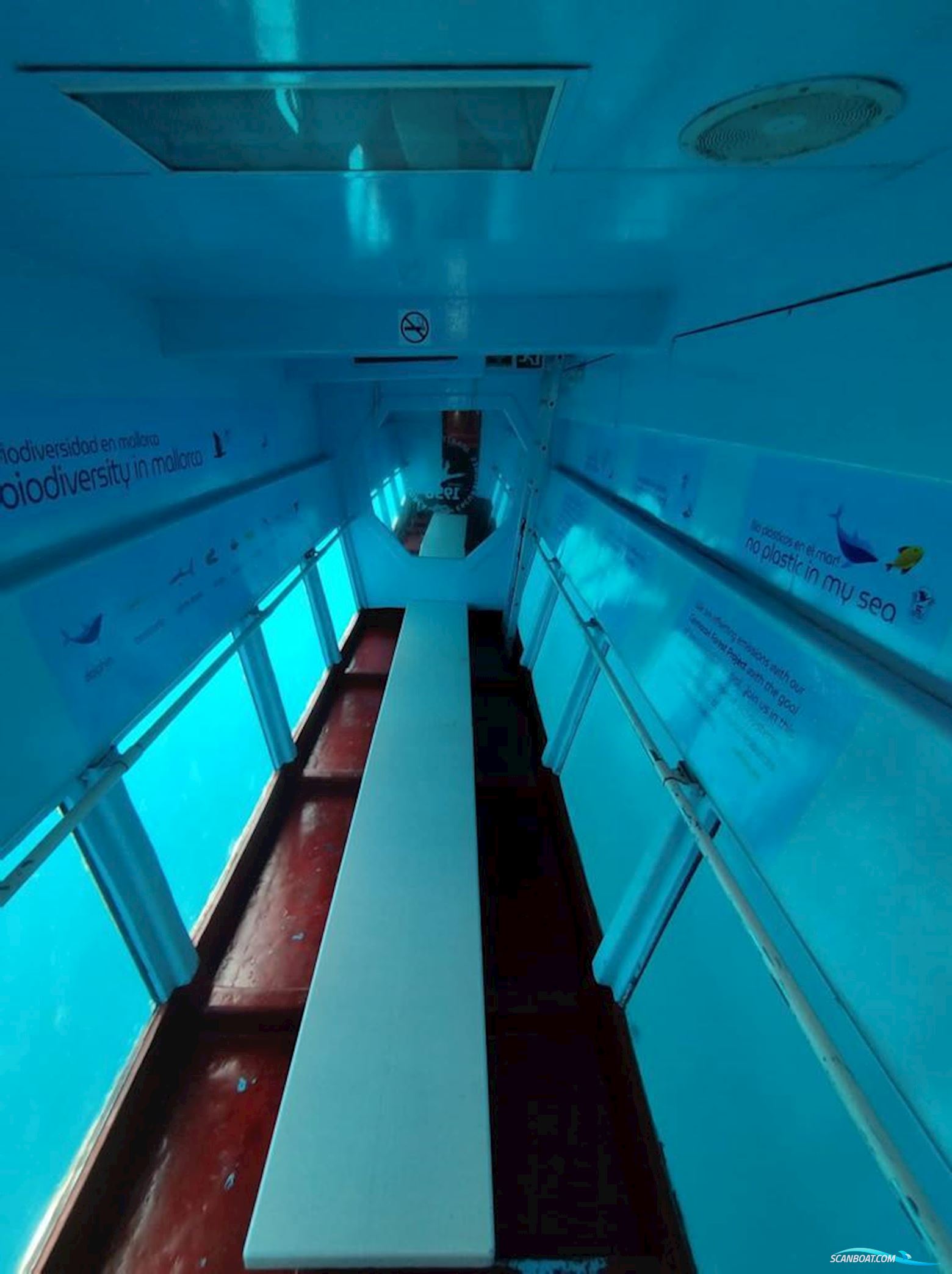 Commercial catamaran