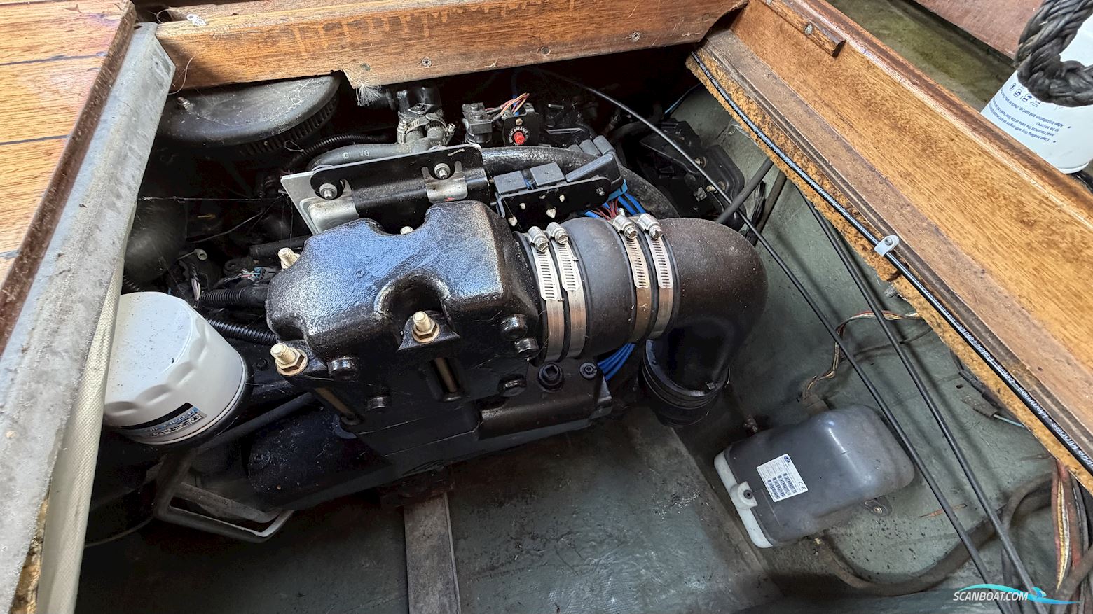 Coronet 26 Family