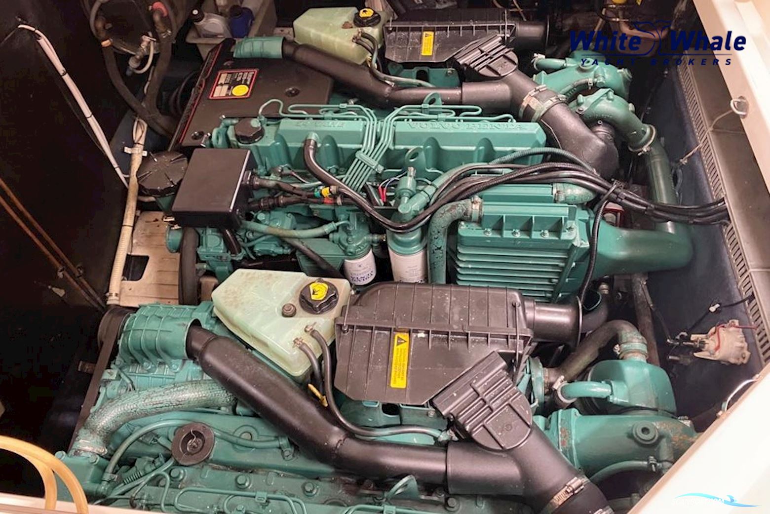 Cranchi 39 Endurance