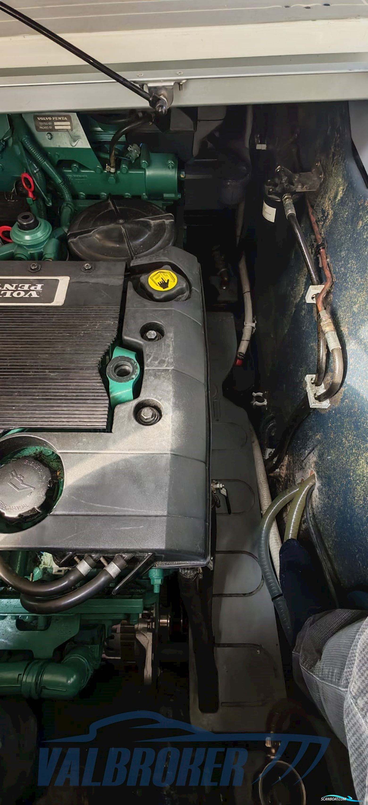 Cranchi Pelican 32