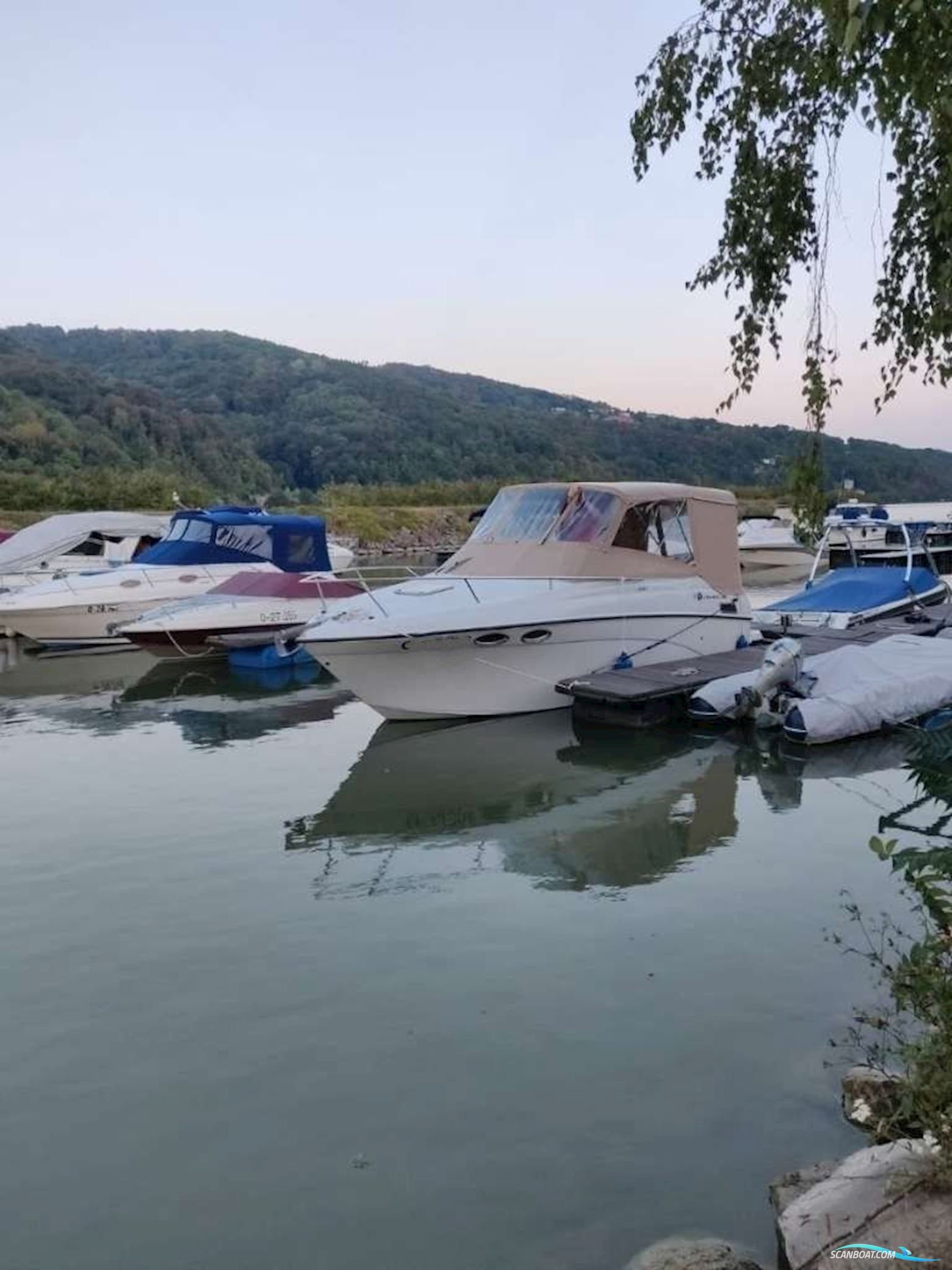 Crownline 242 CR