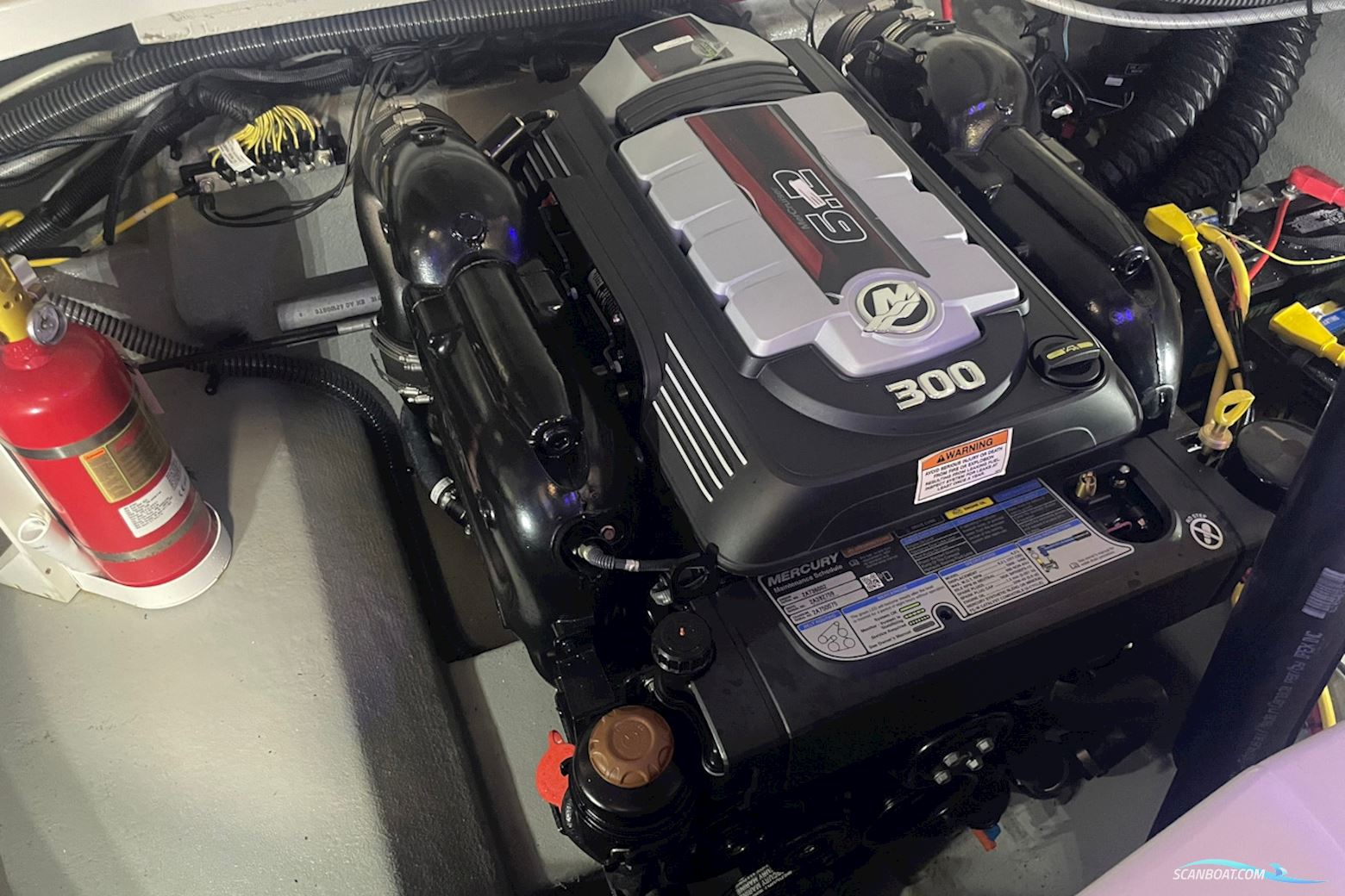 Crownline 270 SS