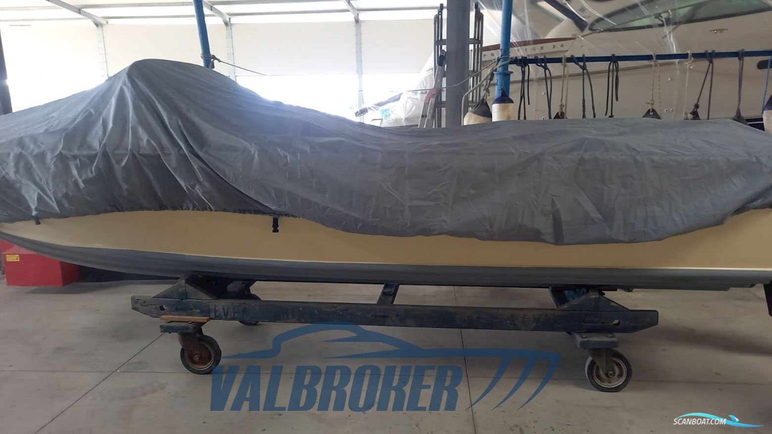 Dalla Pietà Adriatico