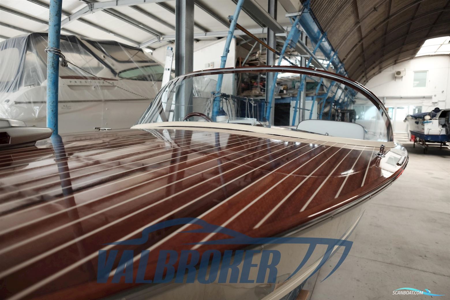 Dalla Pietà Adriatico