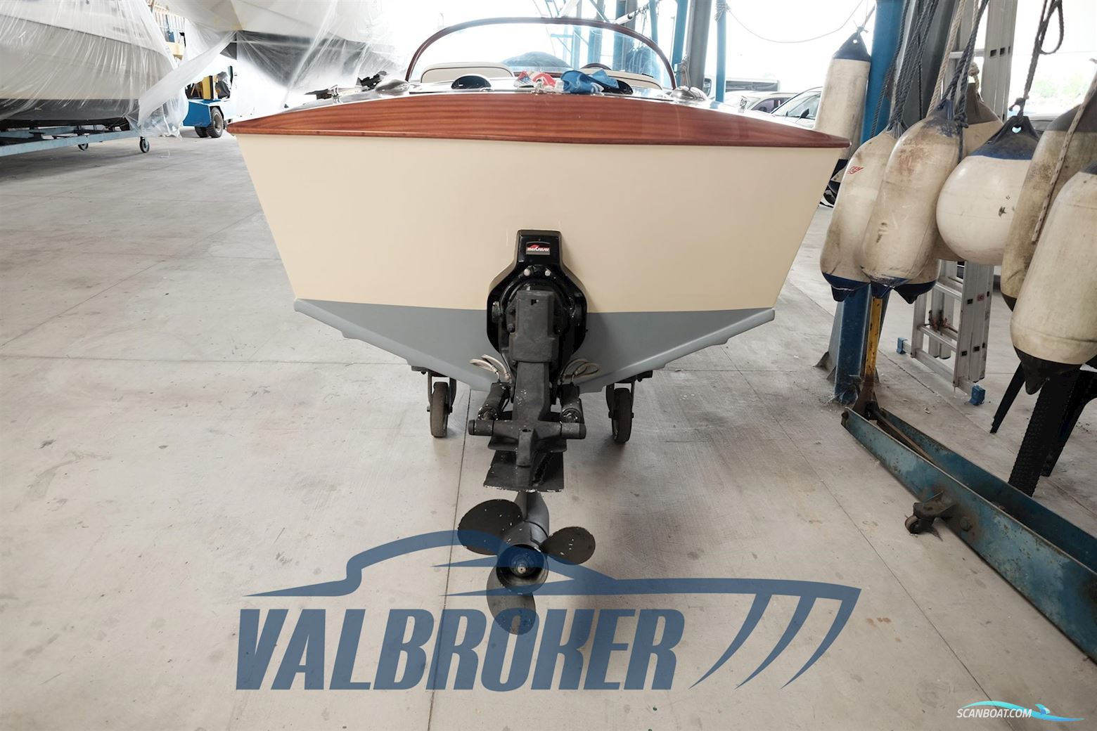 Dalla Pietà Adriatico