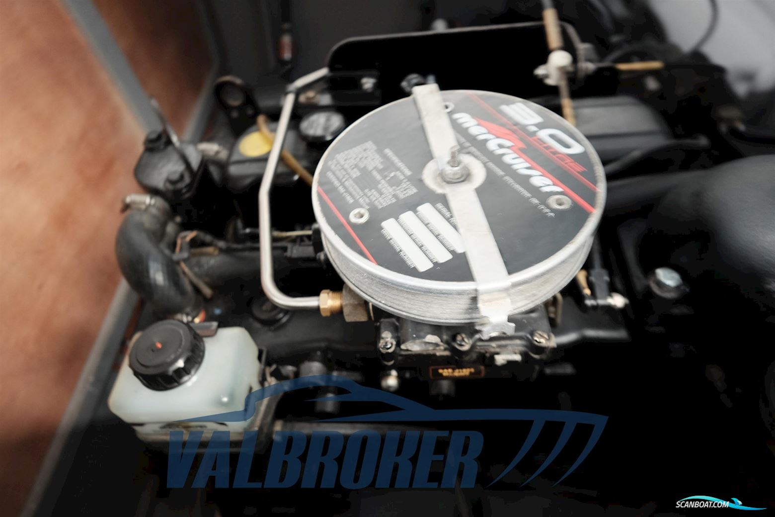 Dalla Pietà Adriatico