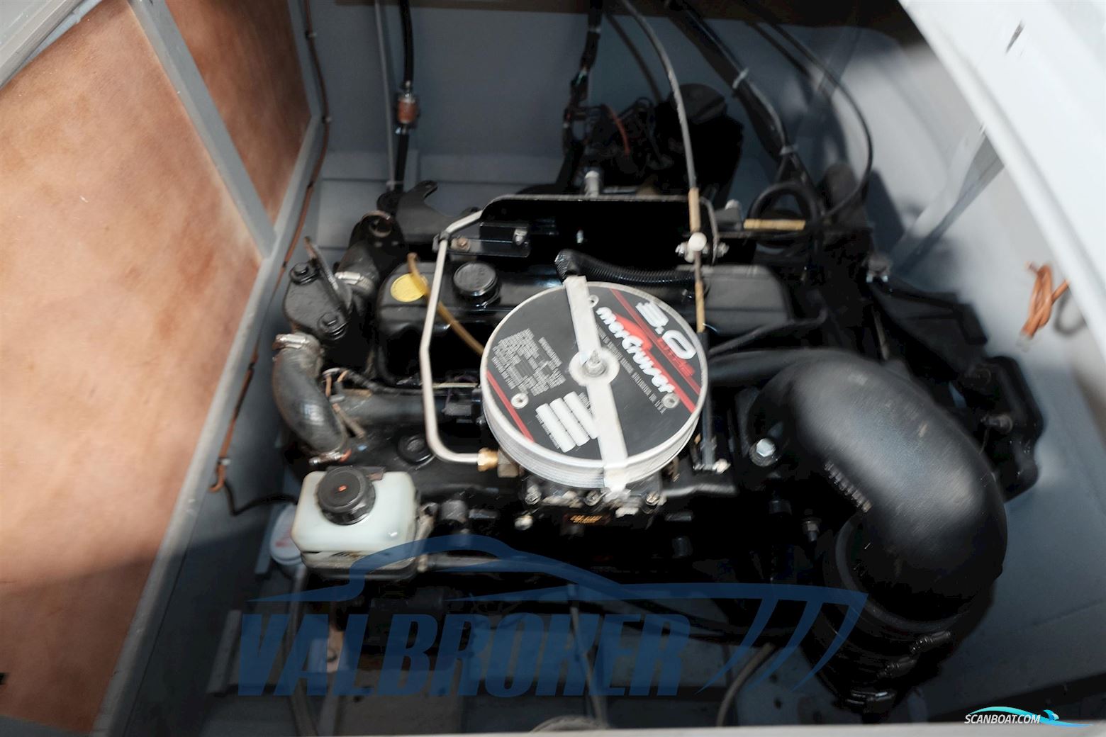 Dalla Pietà Adriatico