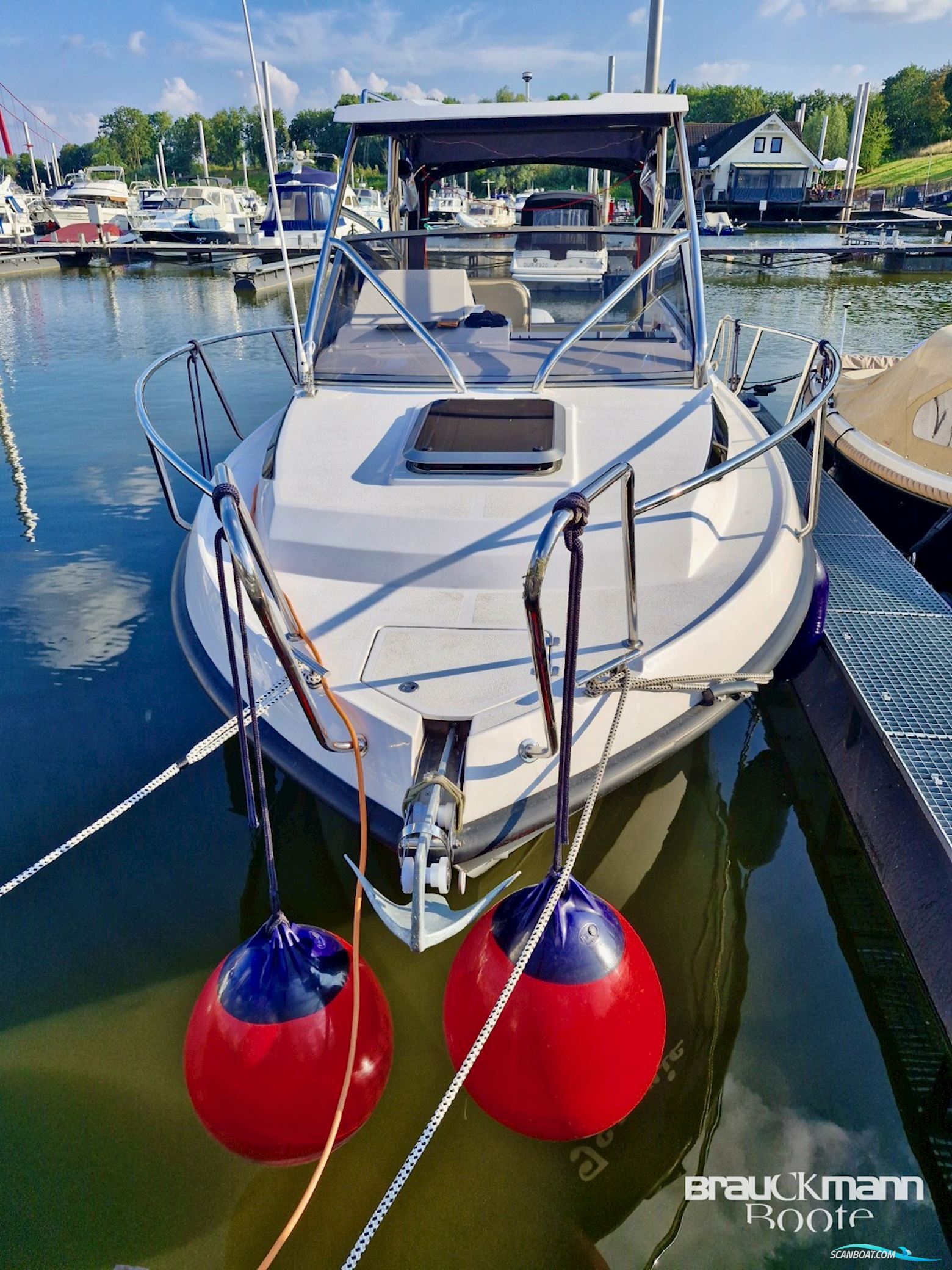 Drago 750