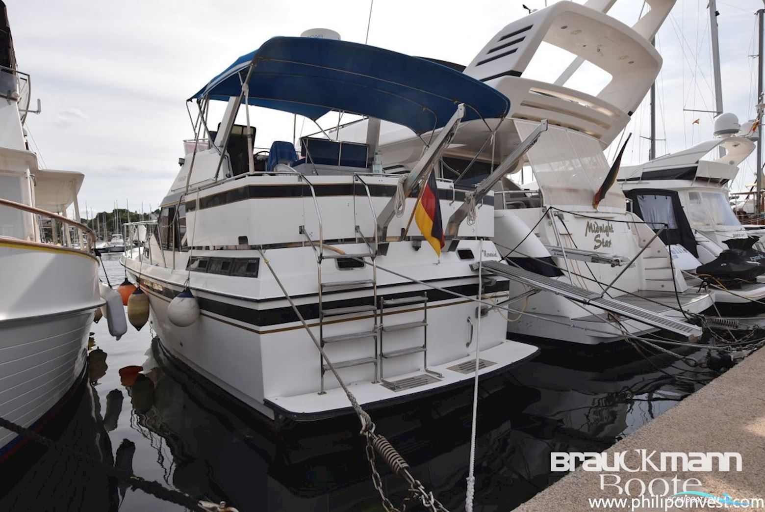 Edership 40