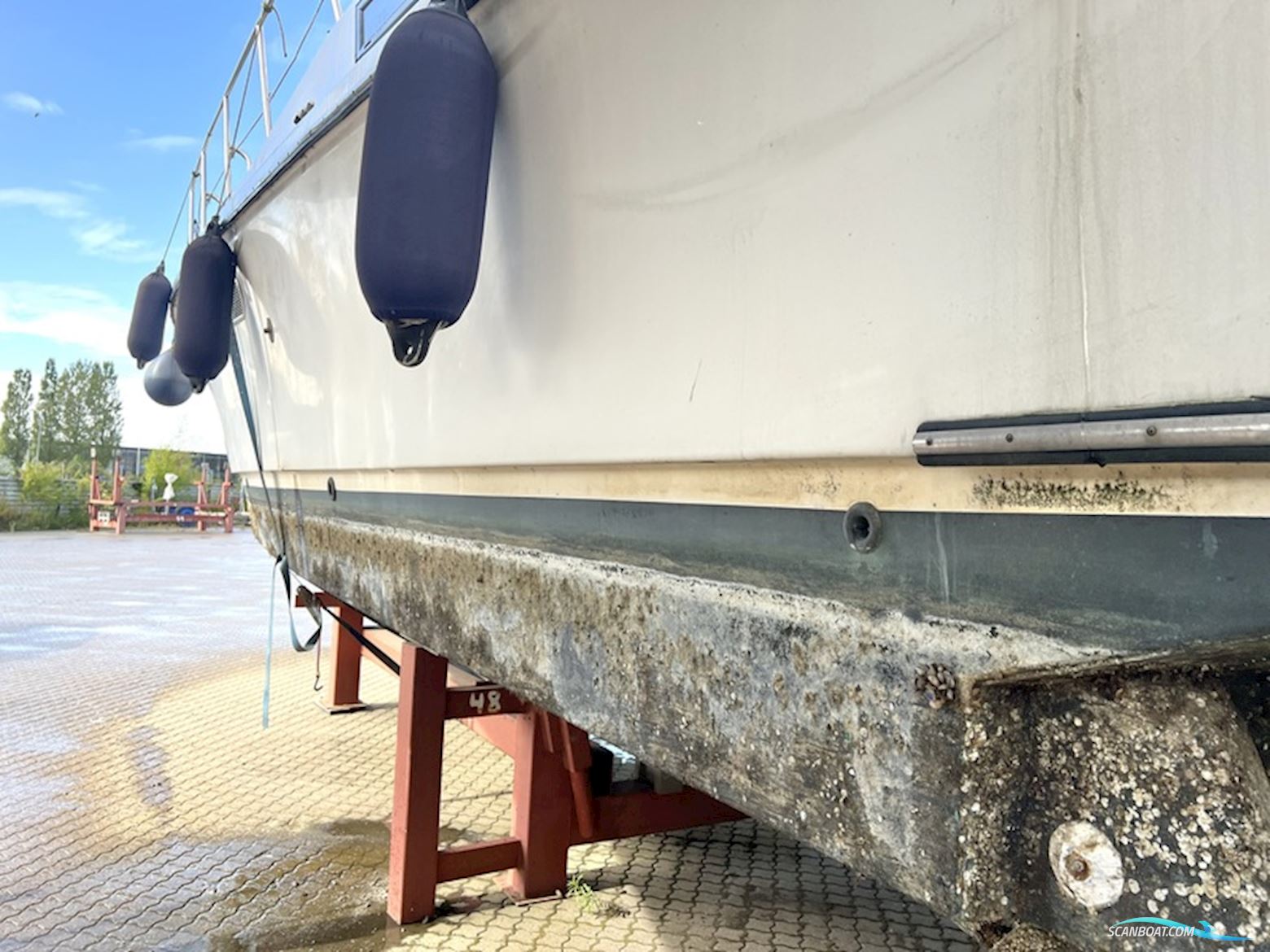 Edership 41