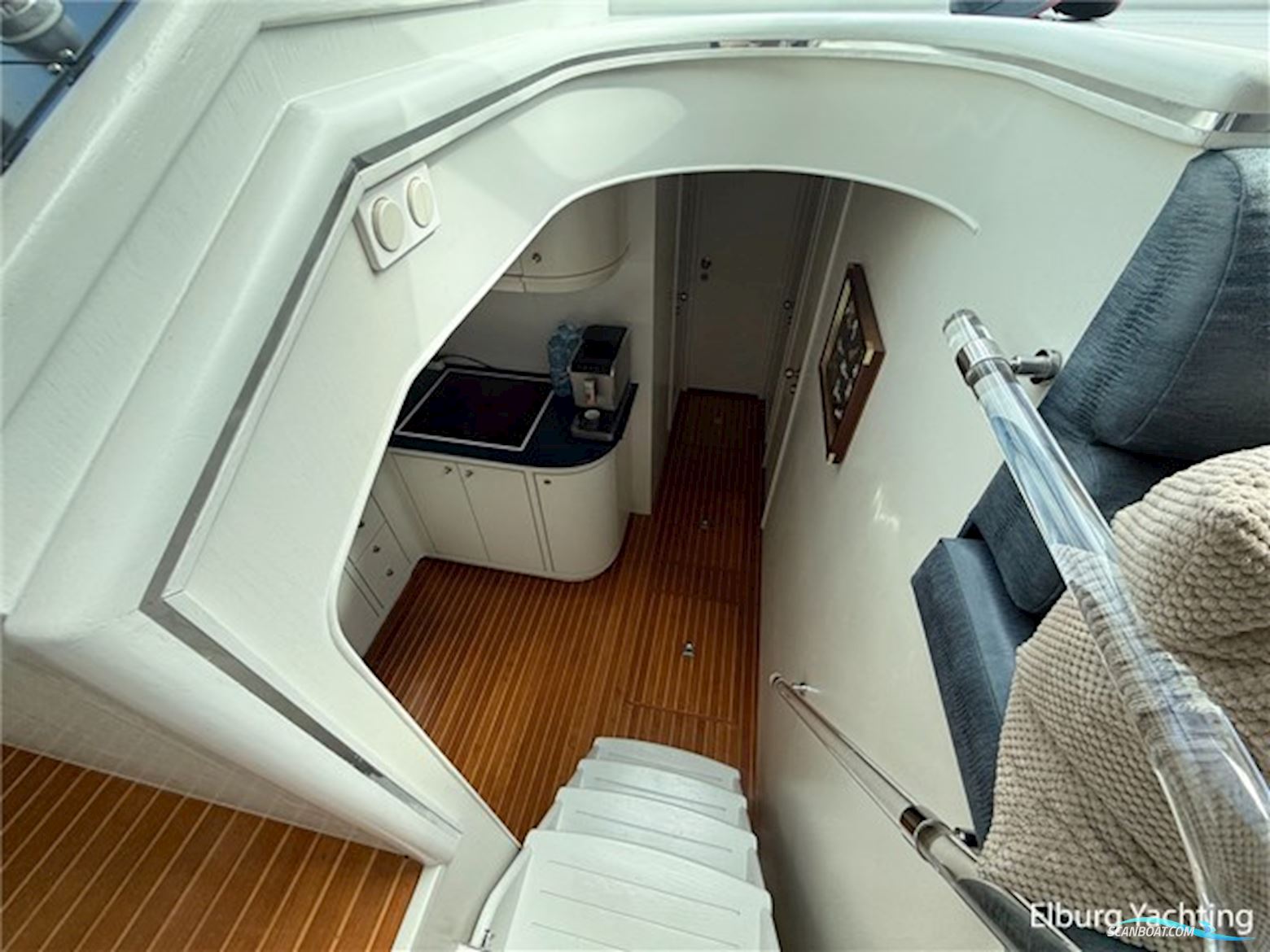 Elegance 53