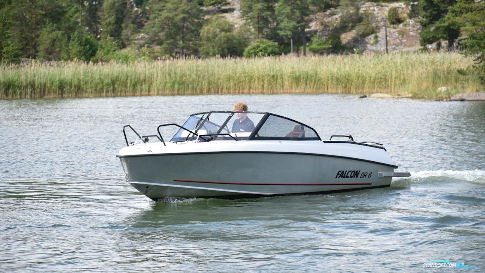 Falcon BR 6