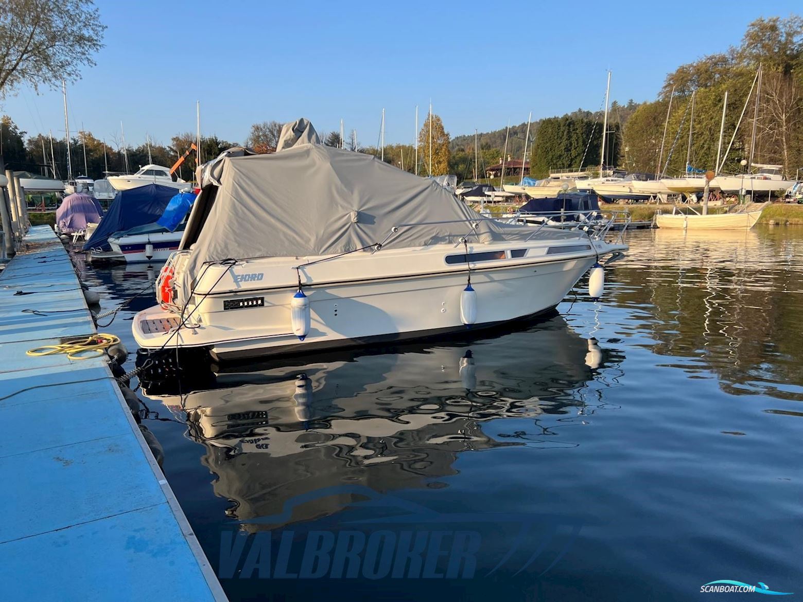 Fjord Dolphin 775