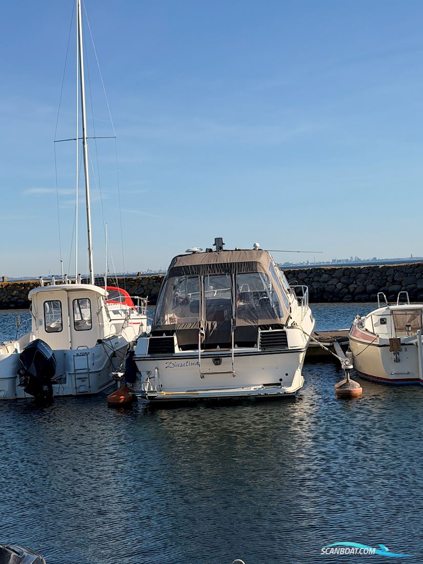 Fjord Dolphin 900