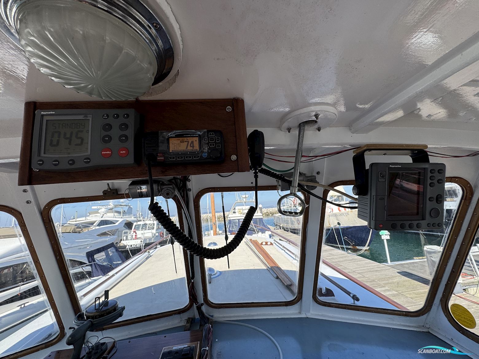 Fleur de Lys 50