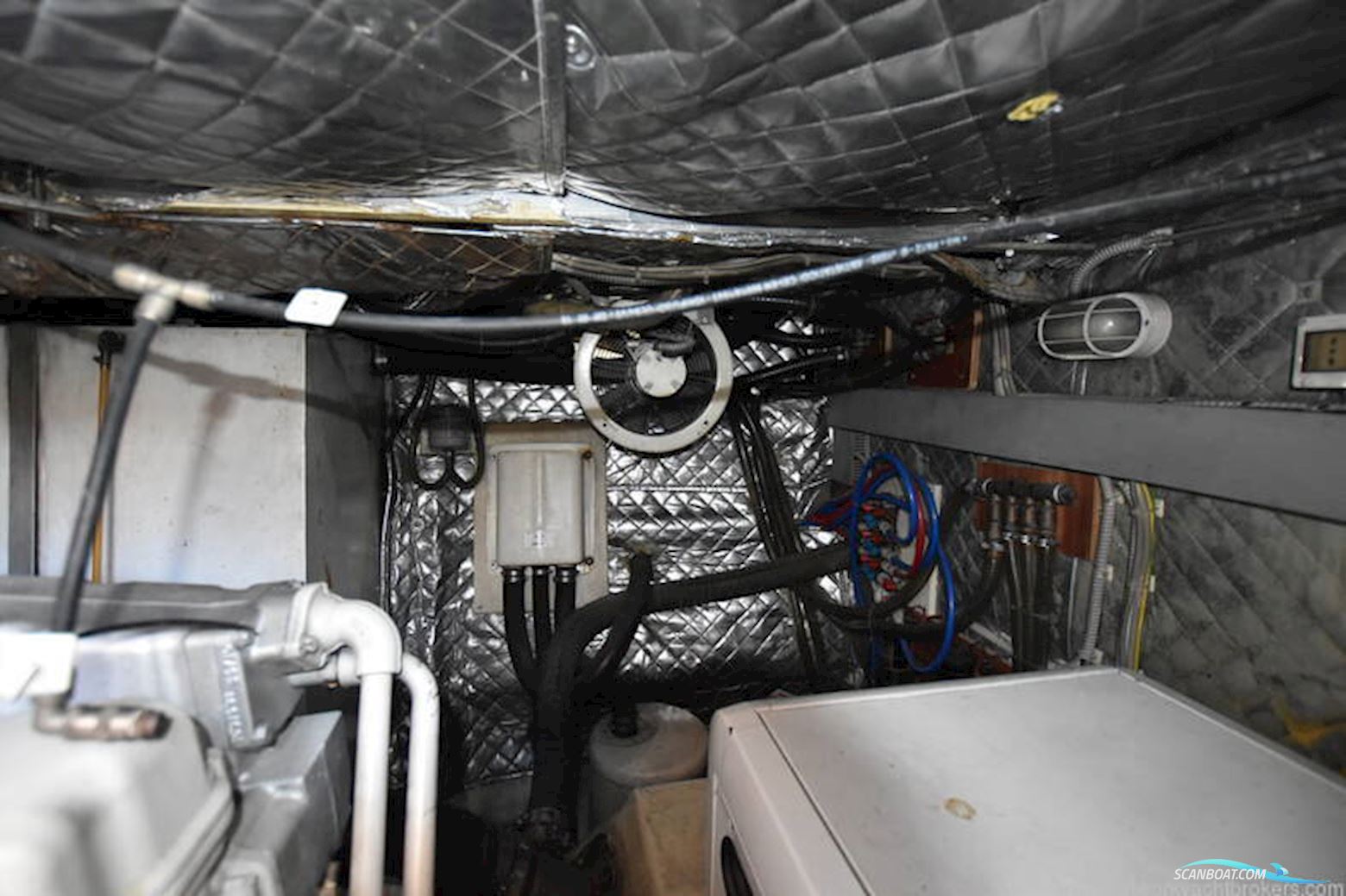 Fratelli Aprea Sorrento 50