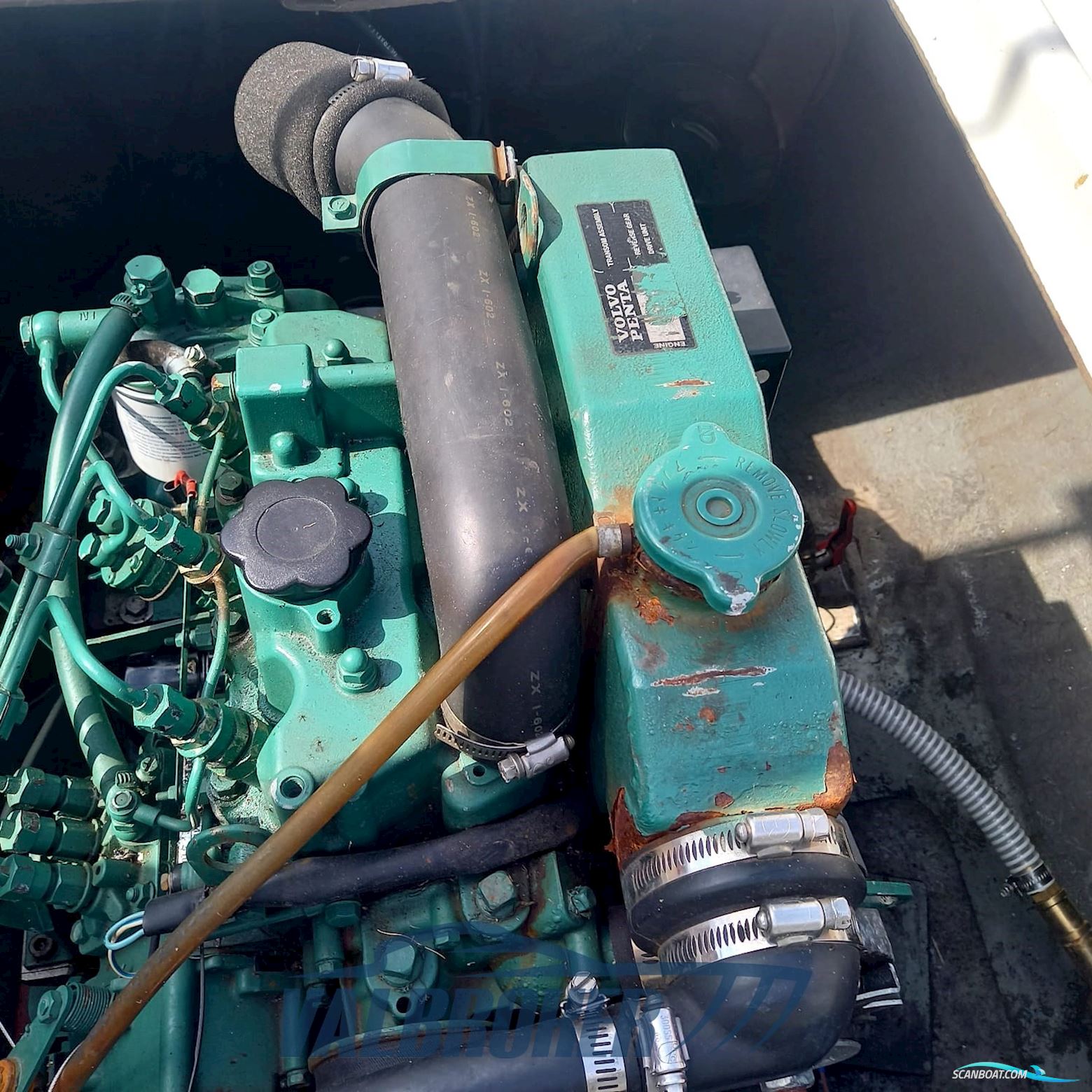 Gozzo Genovese Baciccia