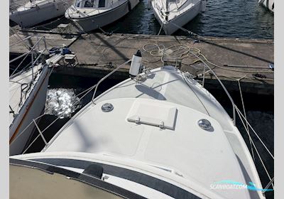 Hsö 30 Flybridge Motorbåd 1983, med Volvo Penta Kad 300 motor, Danmark