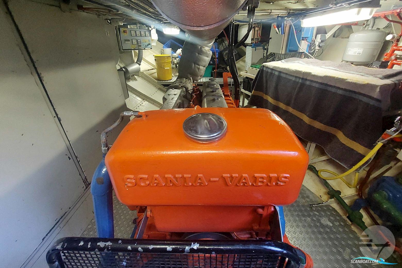 IJSSELMEERKotter GERTINE