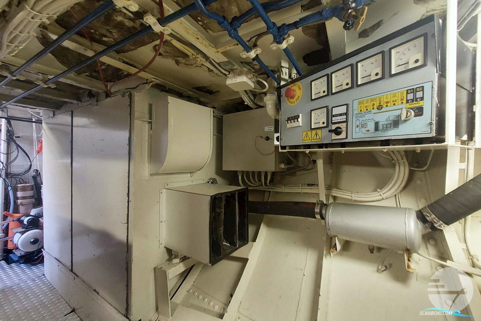 IJSSELMEERKotter GERTINE