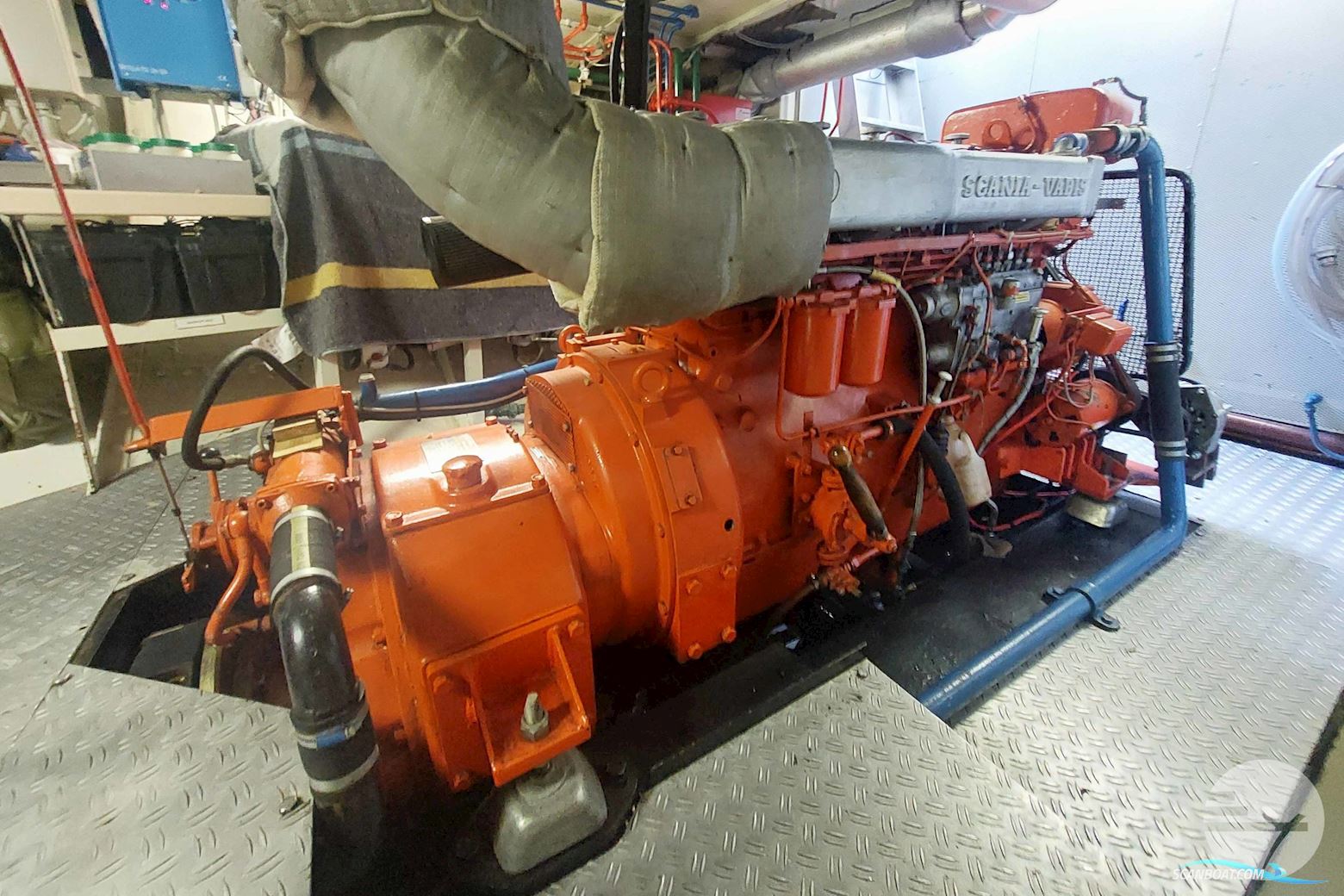 IJSSELMEERKotter GERTINE