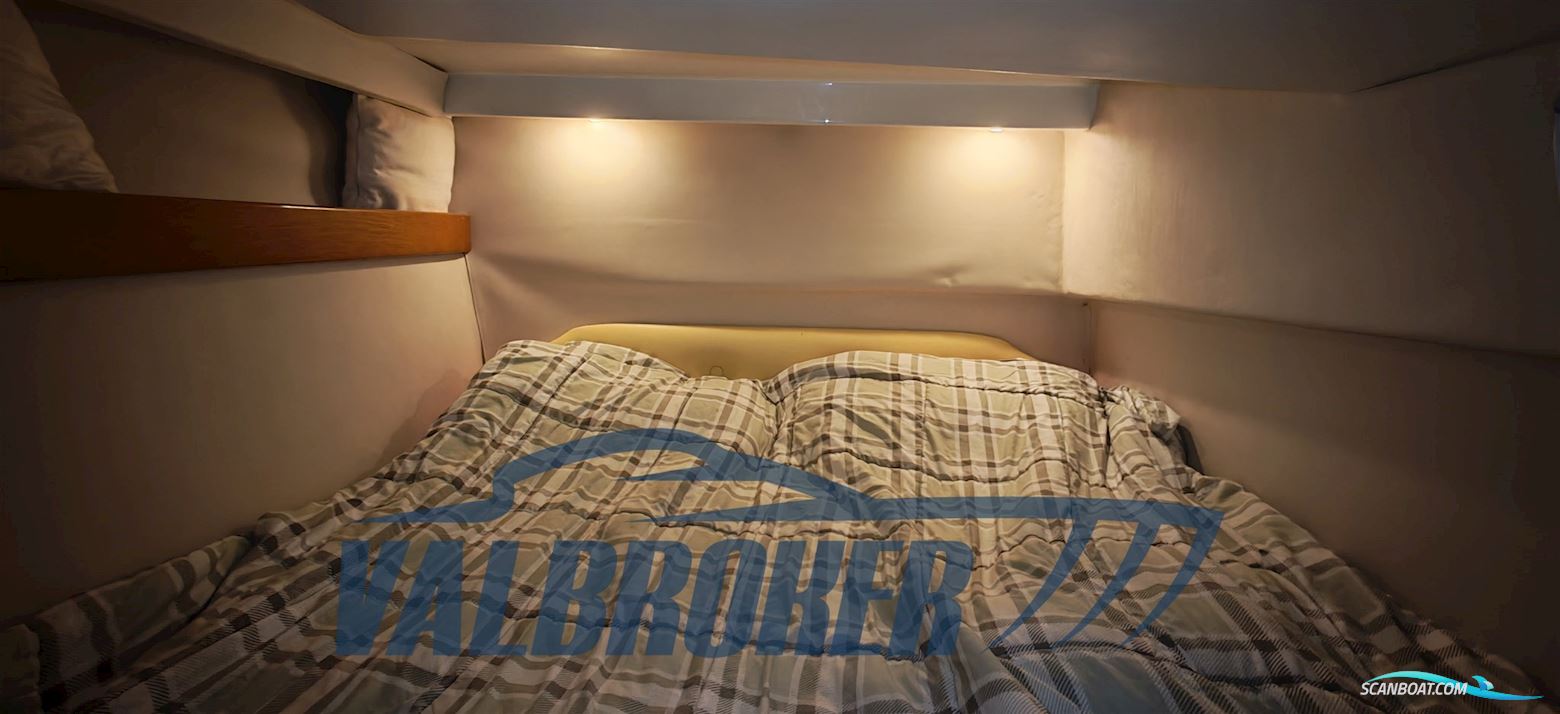 Innovazioni e Progetti Mira 37