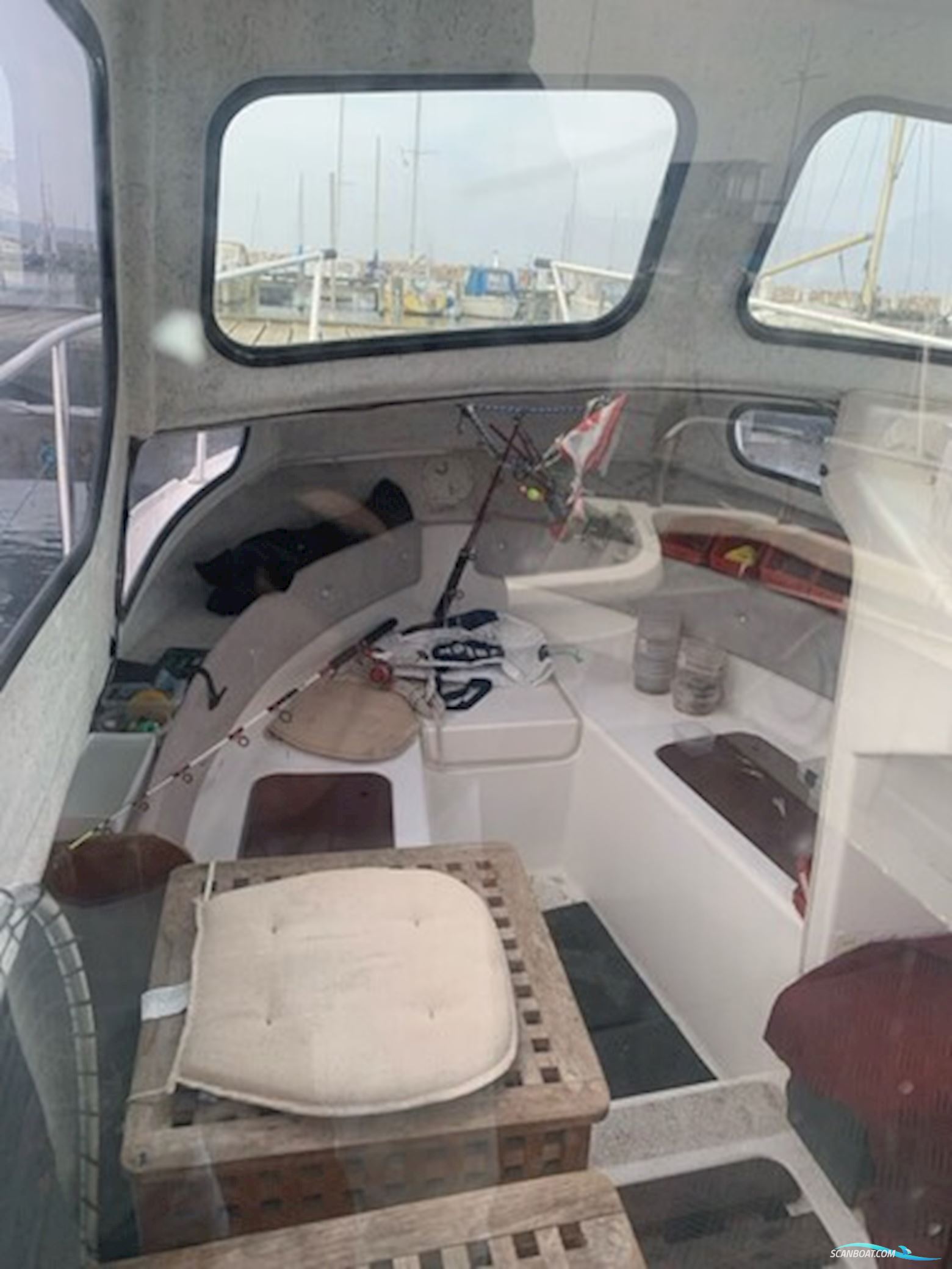 Kingfisher 21