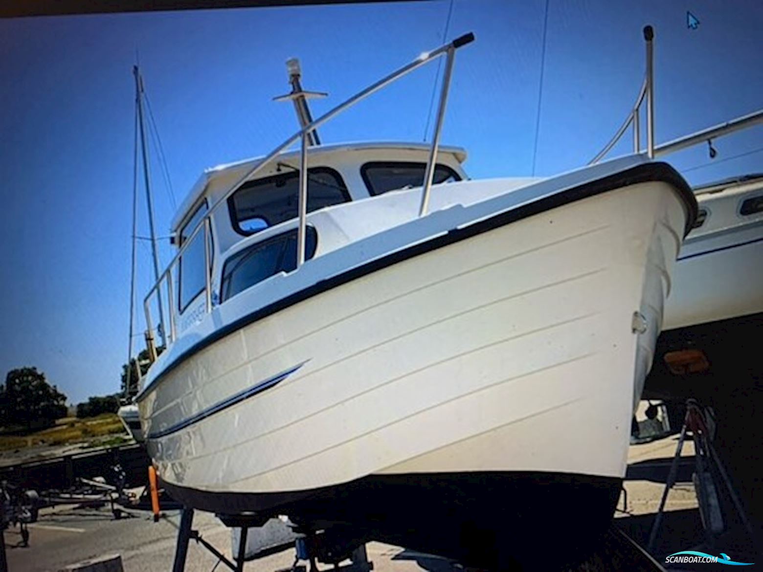 Kingfisher 21