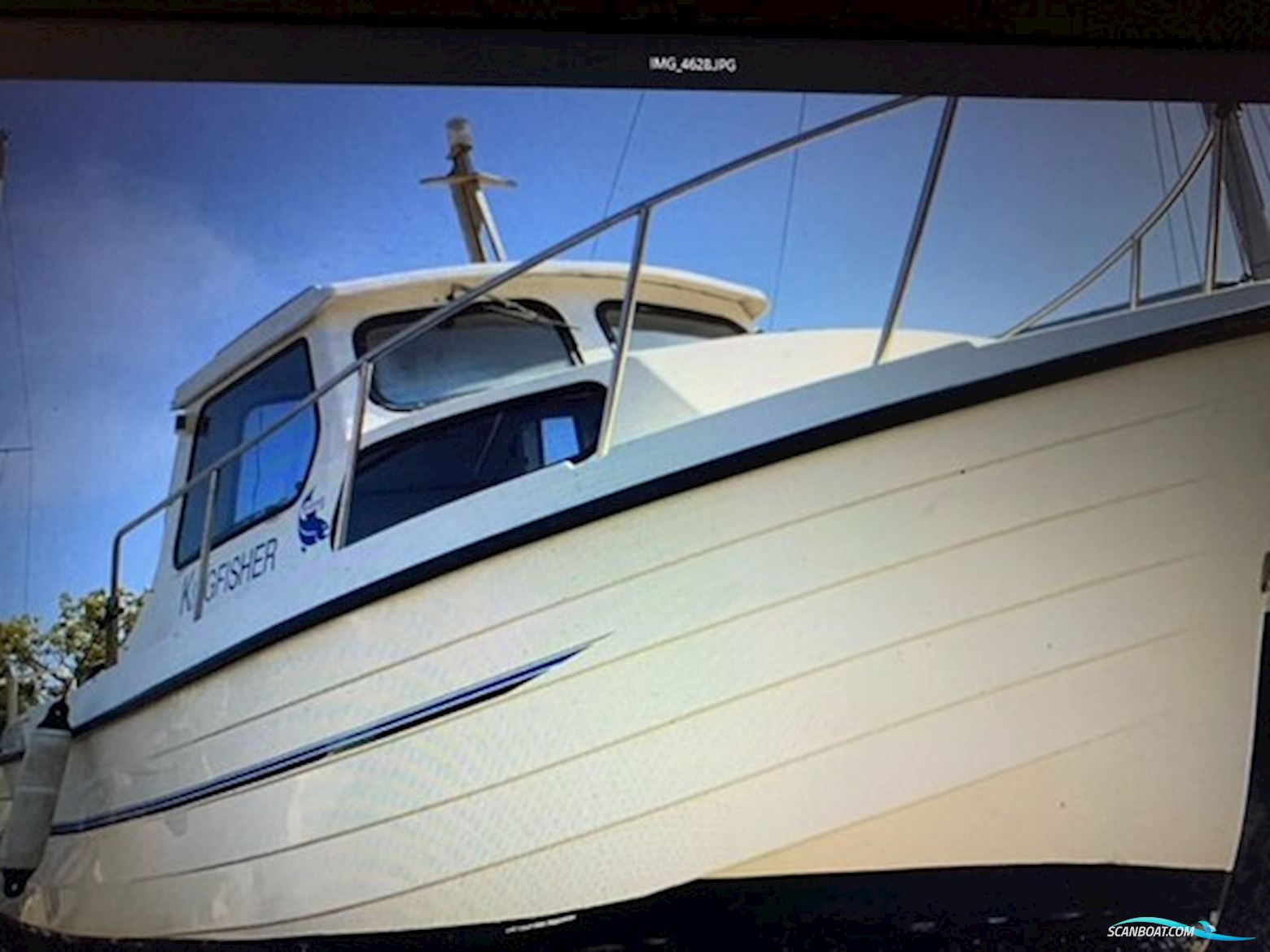 Kingfisher 21