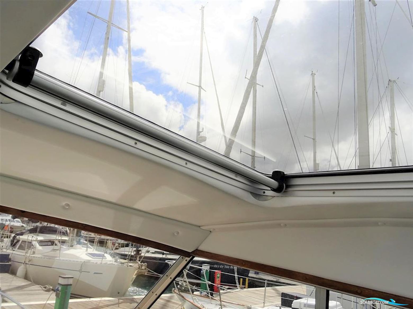 Levi Triana Tantarella 35