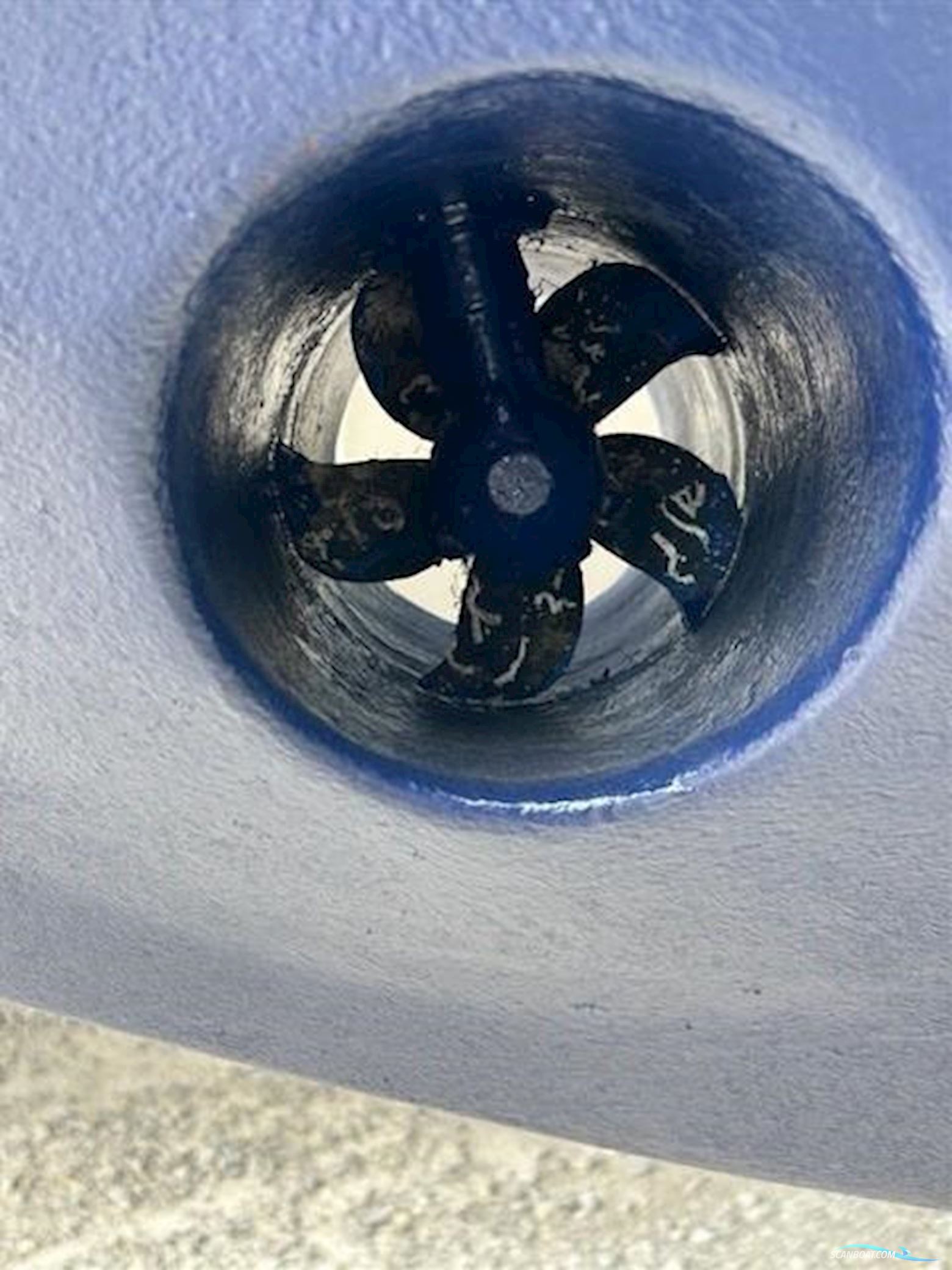 Levi Triana Tantarella 35