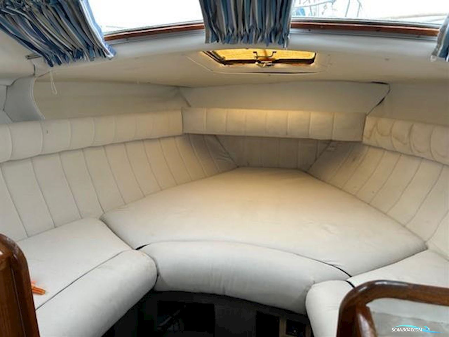 Levi Triana Tantarella 35