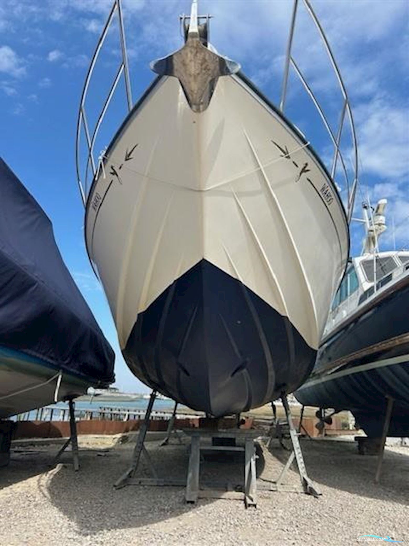 Levi Triana Tantarella 35