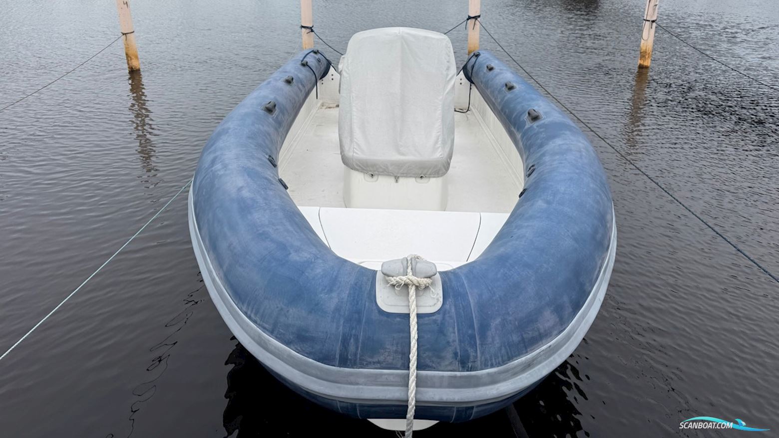 Light Marin LM75