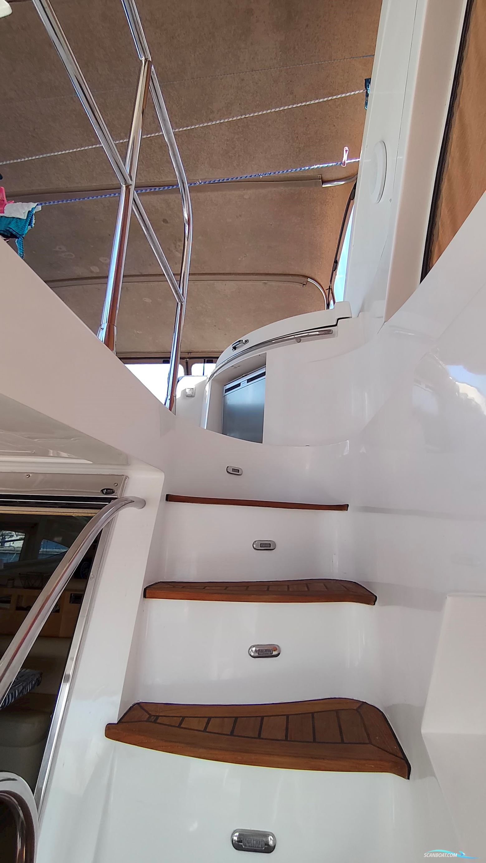 Majesty 56
