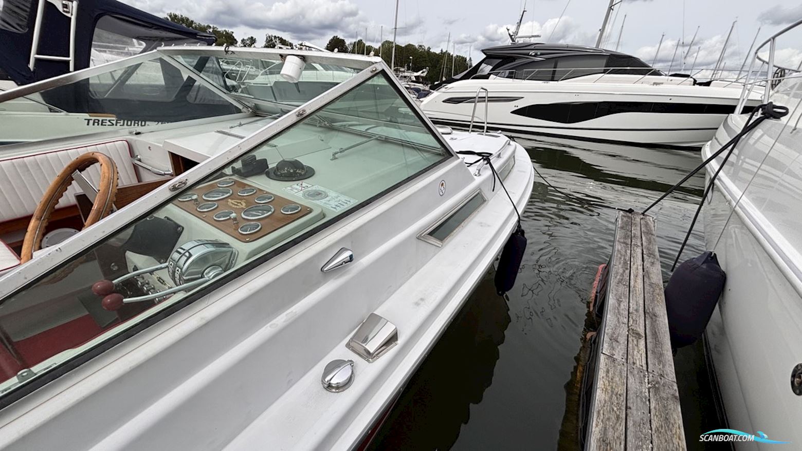 Maltese 27 Sport
