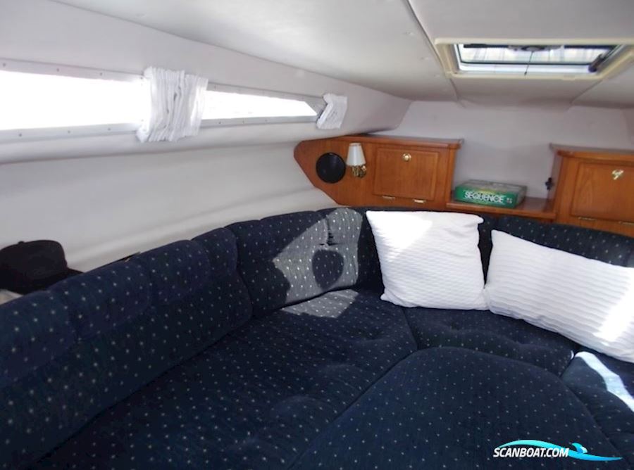 Marex 290 HT Suncruiser