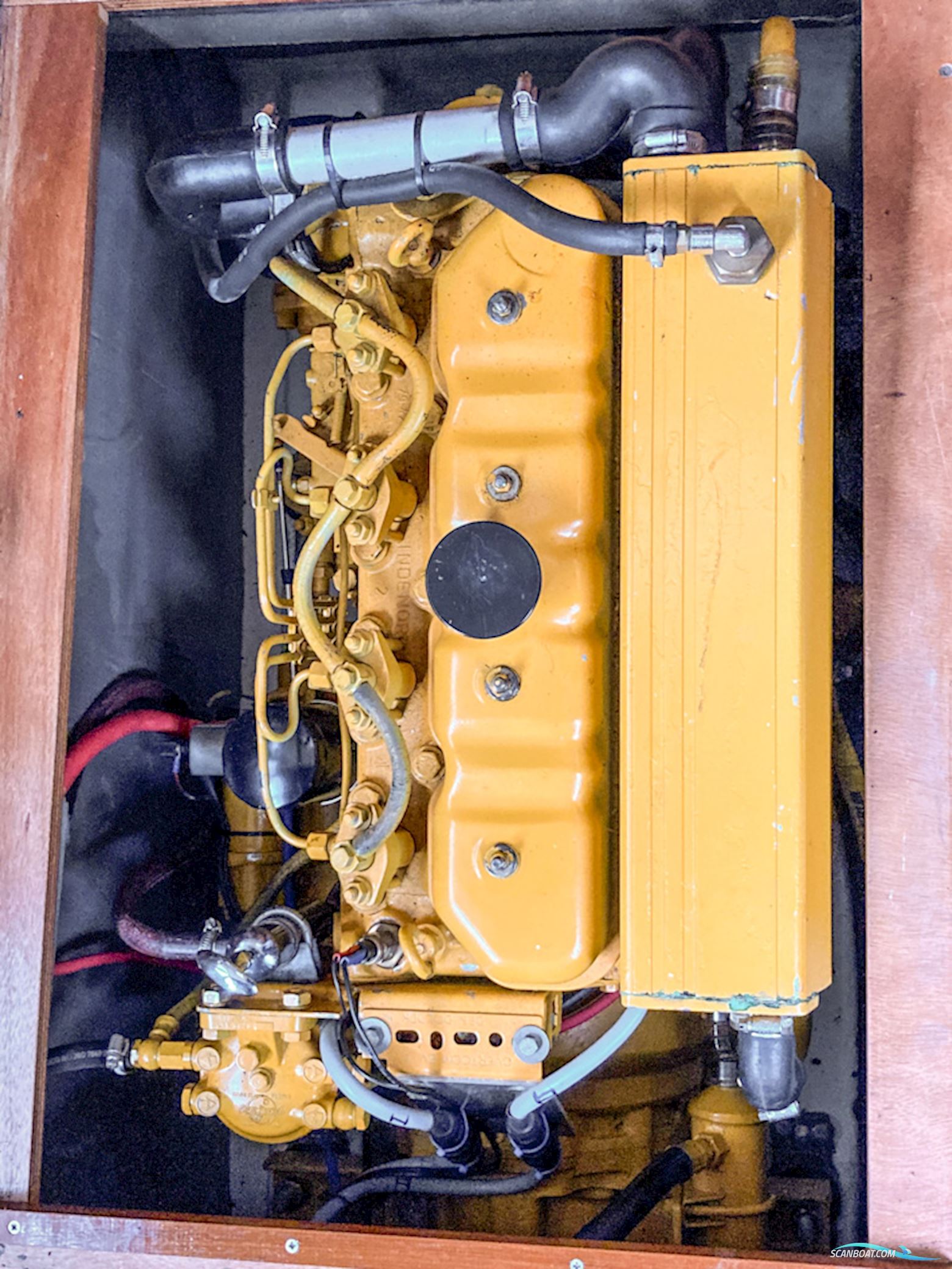 Mitchell Sea Angler 31 AK